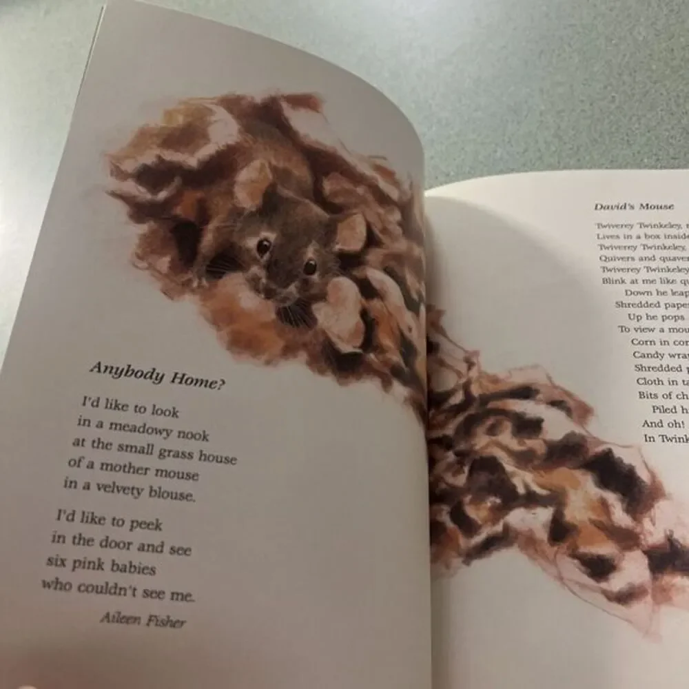 MICE‎ ARE NICE By Nancy Larrick - Hardcover  1990 Poems Art By Ed Young W/dust